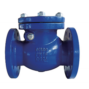 Check valve-BS Swing Check Valve
