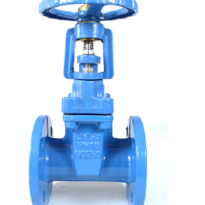 Gate valve-K102 Rising Stem Gate Valve