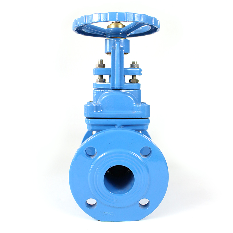 Gate valve-K102 OS&Y Resilient Gate Valve - Image 2